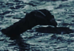 Nuovo avvistamento del Mostro di Loch Ness: ecco le foto