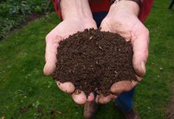 Negli Stati Uniti il compost umano potrebbe diventare legale