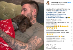 Olive, la cagnolina dei Beckham con la coperta griffata da 5mila euro