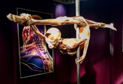 A Milano la mostra "che provoca svenimenti": 37 fino a ora