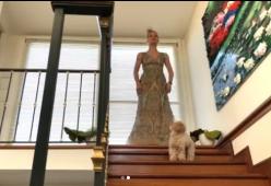 Michelle Hunziker pubblica un video con la servitù e il web insorge