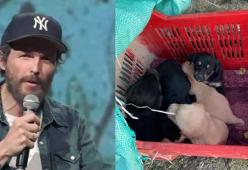 Jovanotti dal cuore grande: ecco il suo aiuto per i cani abbandonati