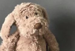 Mamma inglese derubata a Milano: “Aiutatemi a ritrovare il peluche di mio figlio”