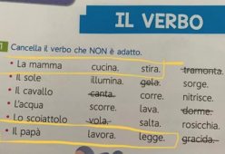 La mamma cucina, il papà lavora: polemica su libro per le elementari