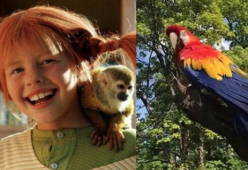 Addio a Rosalinda, il pappagallo di Pippi Calzelunghe 