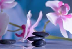 Bellezza ed equilibrio interiore: nasce il nuovo beauty brand