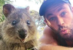 Chris Hemsworth: selfie con l'animale più felice del mondo