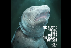 La scioccante campagna contro l'uso della plastica