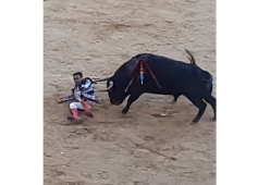 Torero incornato durante la corrida: la scena è impressionante
