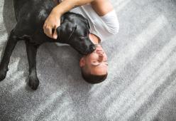 I cani ci consolano se siamo tristi, parola di scienza