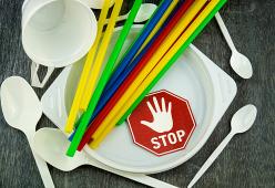 Arriva l'addio definitivo alla plastica monouso: dal 2021 basta piatti, bicchieri, posate e cannucce 
