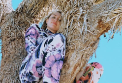 Miley Cyrus si arrampica su un albero a rischio estinzione e fa infuriare i fan