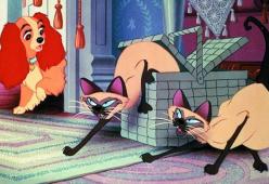 Lilli e il Vagabondo: gatti siamesi "razzisti", censurati nel remake
