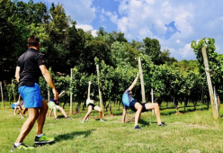 Nasce l’ultima frontiera del fitness: la “ginnastica del vignaiolo”