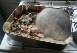 Quando i coinquilini sono dei... mostri
