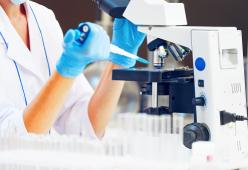 Alzheimer, un nuovo farmaco sembra in grado di eliminare le placche dal cervello