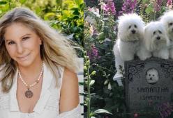 Barbra Streisand omaggia il cagnolino morto con una foto dei suoi cloni