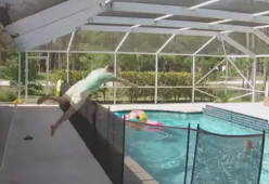 Il bimbo cade in piscina, il padre fa un tuffo spettacolare per salvarlo: il video