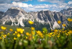 5 giorni di vacanza gratis sulle Dolomiti... solo se vai senza smartphone