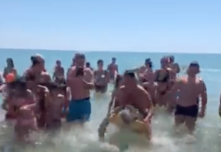 Trascina la tartaruga a riva e chiama gli amici per fare un selfie