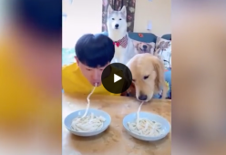 Sfida il suo cane a chi mangia più veloce la pasta: il video esilarante