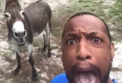 Il video dell'asino che canta "Il Re Leone" è da morire dal ridere