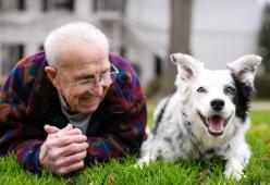 È morto il cane più intelligente del mondo: sapeva 1022 parole