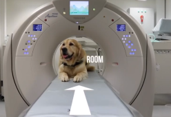 Cane da pet therapy mostra ai bimbi come non avere paura della Tac