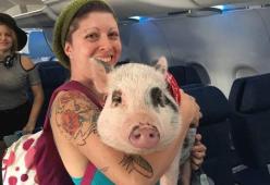 I 5 animali da supporto emotivo più bizzarri di sempre... da portare anche in volo