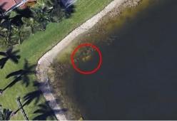 Resti di un uomo scomparso 22 anni fa ritrovati con Google Earth