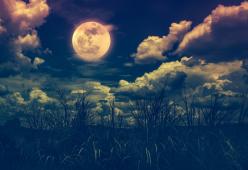 Stasera tutti a guardare il cielo: ci sarà la Luna Piena del Raccolto
