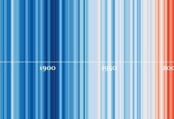 Ecco perché queste righe colorate sono così importanti 