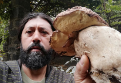 Trovato alle pendici dell’Etna un super fungo di oltre 3 chili
