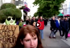 Uomo broccolo arrestato a Londra: protestava per il clima  [video]