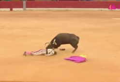 Matador incornato durante la Corrida