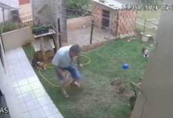 Prova a eliminare gli insetti dal giardino con l’esplosivo ma il risultato è una catastrofe
