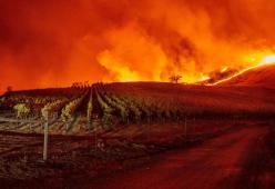 Incendio in California: a Los Angeles evacuate più di 7mila case
