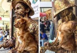 Cagnolina imita il suo "papà" artista di strada: il loro numero è straordinario 