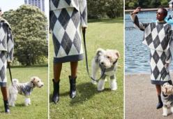 Cani e proprietari con maglioni coordinati: che ne pensate?
