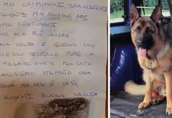 Vicenza: la morte del cane antidroga rattrista anche gli spacciatori