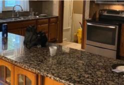 Annuncio immobiliare "stupefacente": nelle foto compare un piattino sospetto