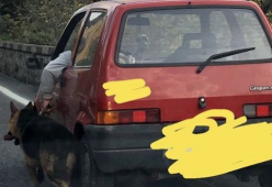 Guida la macchina mentre tiene il cane al guinzaglio: la foto scatena la polemica
