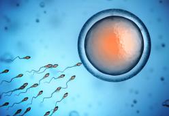 L'infertilità maschile inspiegabile ora ha una causa: la ricerca