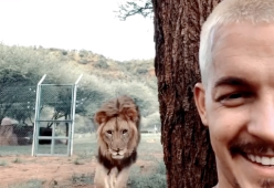 Un leone lo sta per attaccare alle spalle, ma il finale è a sorpresa