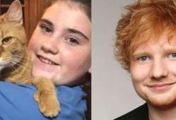 Coppia va al concerto di Ed Sheeran e adotta un gatto randagio