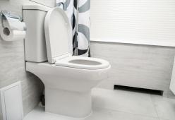 Chiudi il WC prima dello sciacquone: evita la diffusione di germi