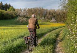 Vince alla lotteria: "Vendevo hamburger, oggi giro il mondo in bici"