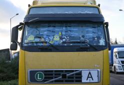 Peluche sui camion: perché i camionisti li usano? Il significato