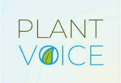 Hai perso "105 Startup"? Riascolta la storia di Matteo Beccatelli Ceo e Co-Founder di PlantVoice 