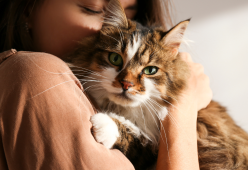 Sente un miagolio per telefono e riconosce il suo gatto smarrito